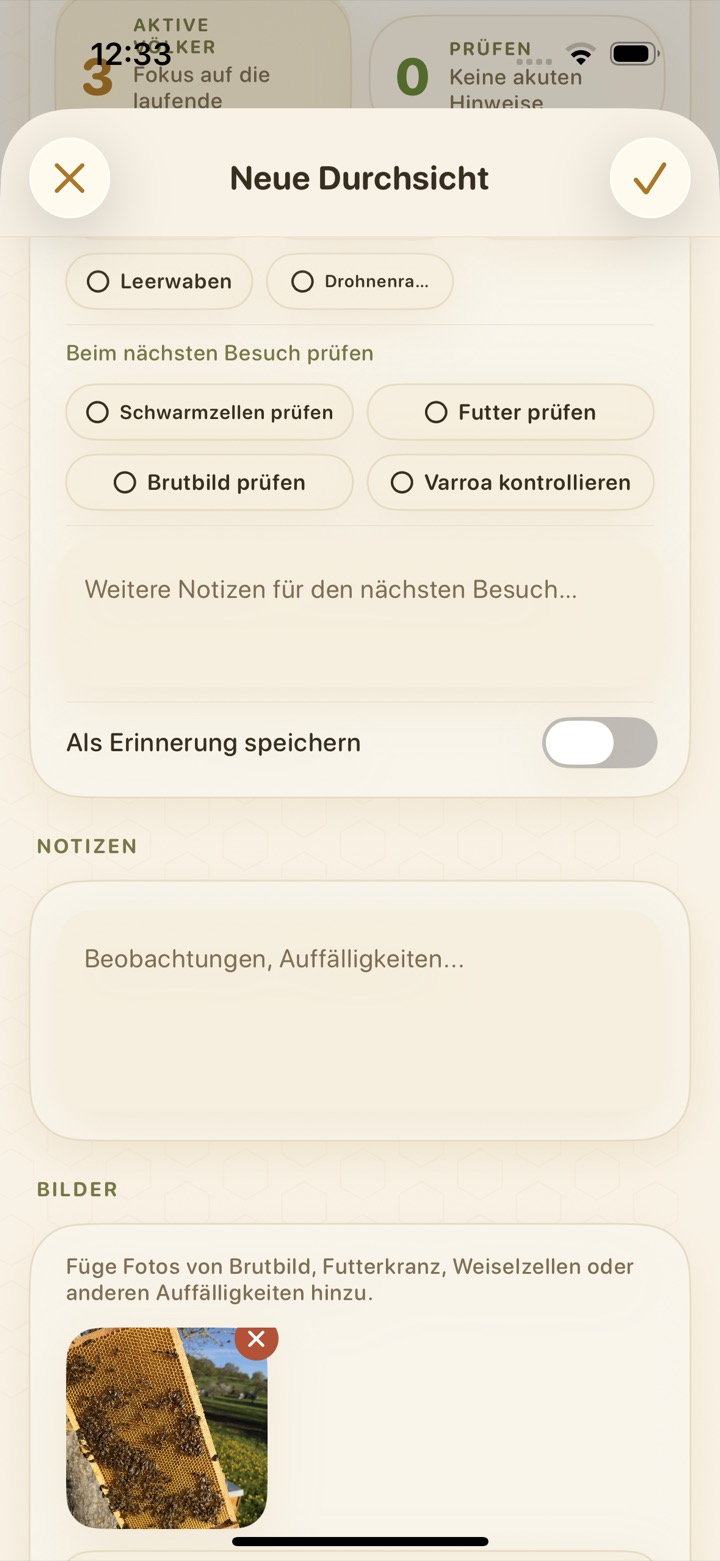 Durchsicht mit nächstem Besuch, Notizen und Bildern