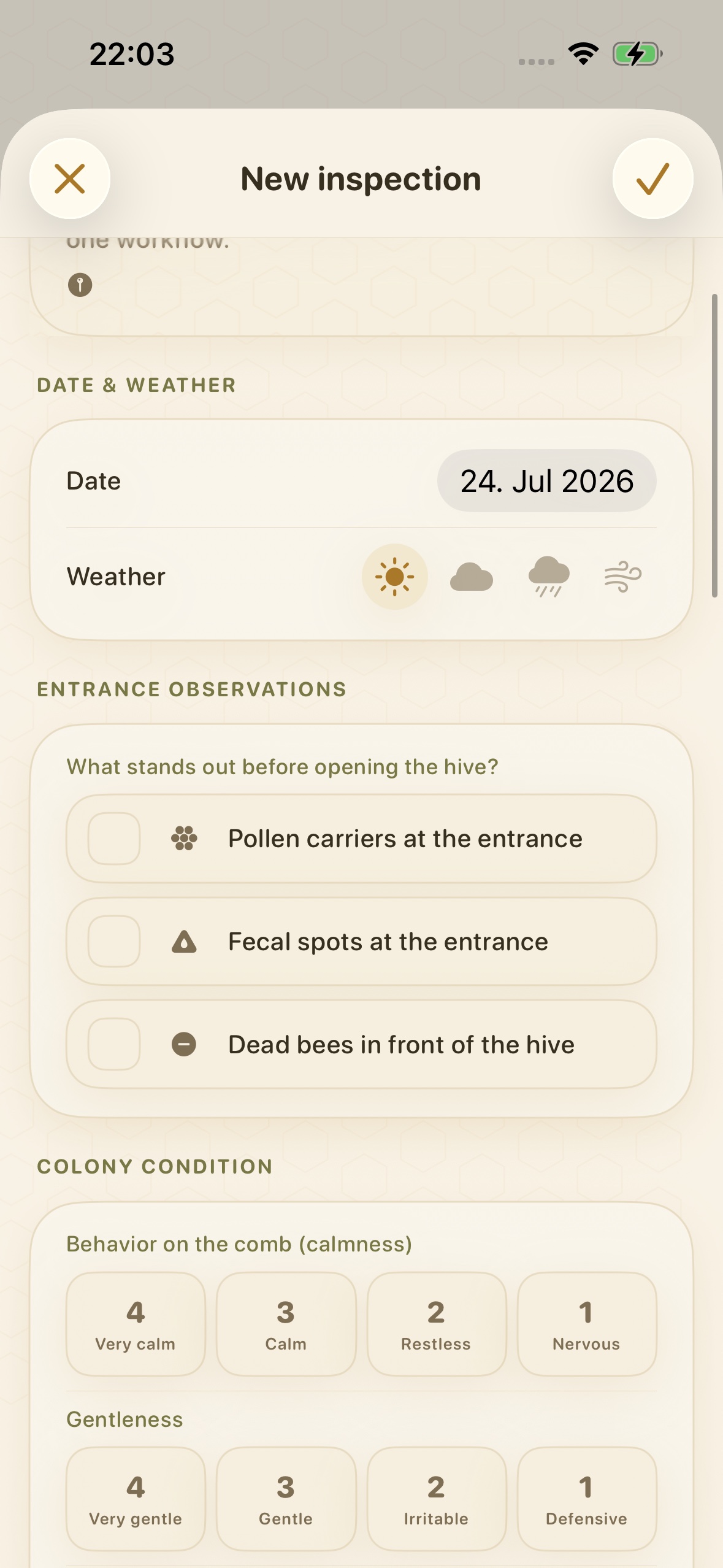 Entrance observations and colony condition in a BeeReady inspection